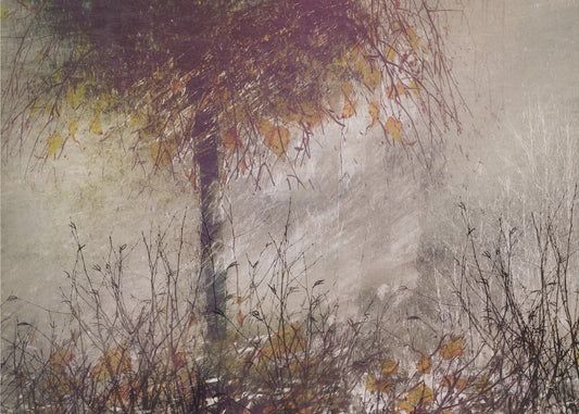 The birch | Canvas