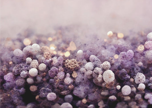 Mystical Lavender Haze | Canvas