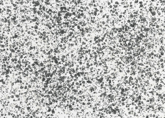 Monochrome Speckles | Wallpaper