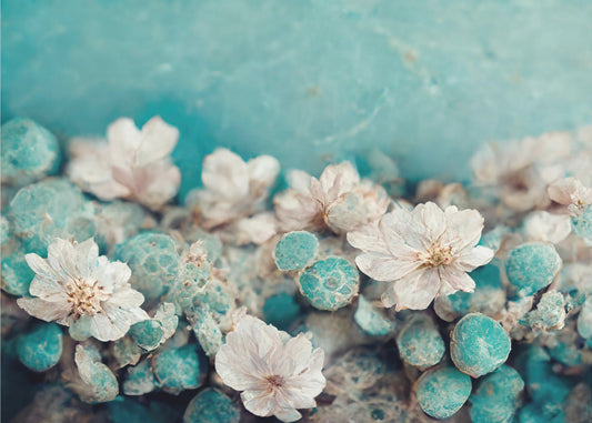 Aqua Blossom Dream | Leinwand