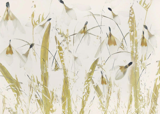 Snowdrops | Canvas