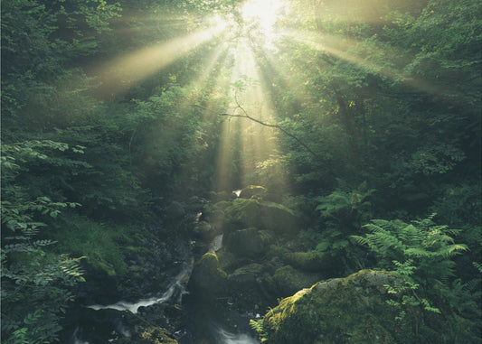 Green Rays | Wallpaper