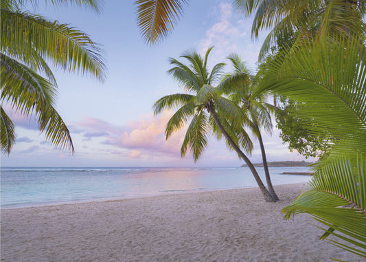Tropical Beach | Wallpaper