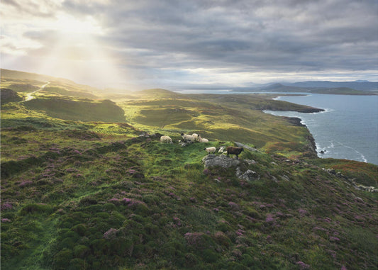 Good Morning Ireland | Wallpaper