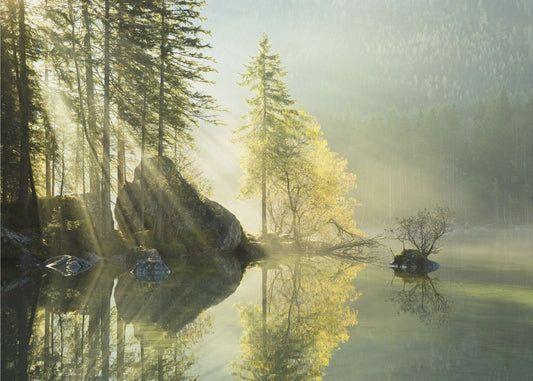 God Rays | Canvas