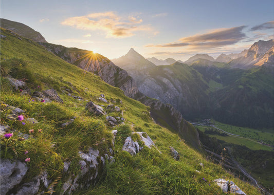 Sommerwiese | Poster