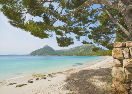Beach Vacation | Wallpaper