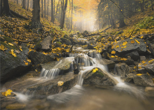 Herbstbach | Poster