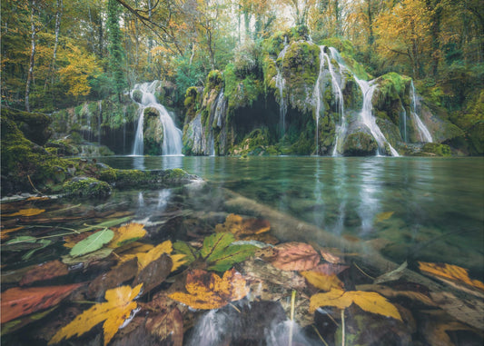 Herbst fällt | Poster