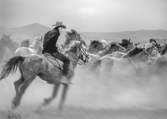 Yabani atlar (auch bekannt als Yılkı Atları) | Tapete