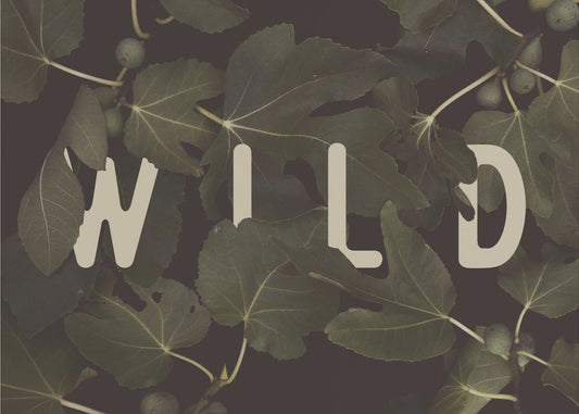 Wild Nº2 | Canvas
