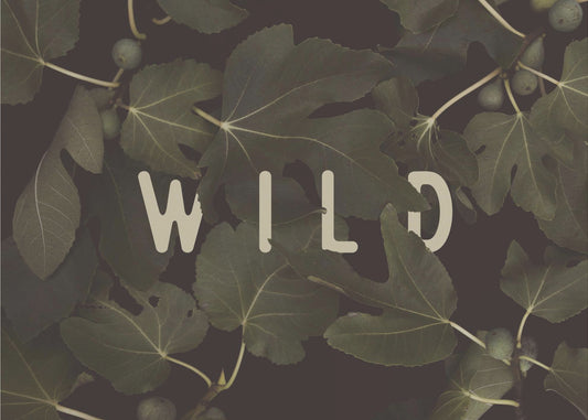 Wild Nº1 | Canvas