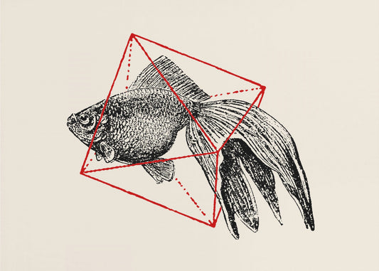 Fish In Geometrics Nº3 | Canvas