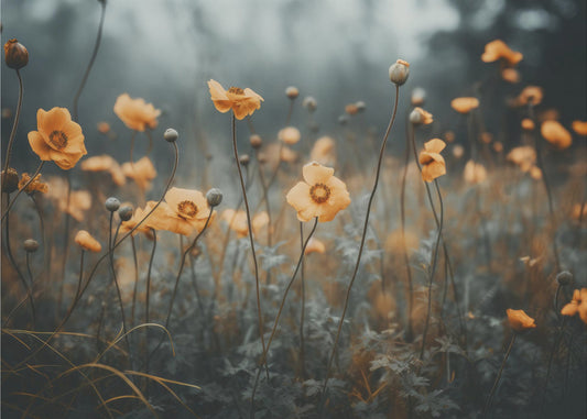 Goldener Mohntraum | Leinwand