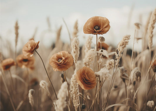 Mohnblumen im Wind | Leinwand