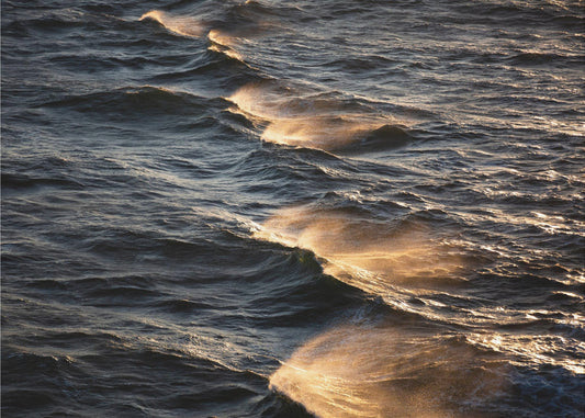Sunkissed Waves | Canvas