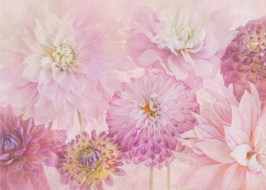 Effloresce | Canvas