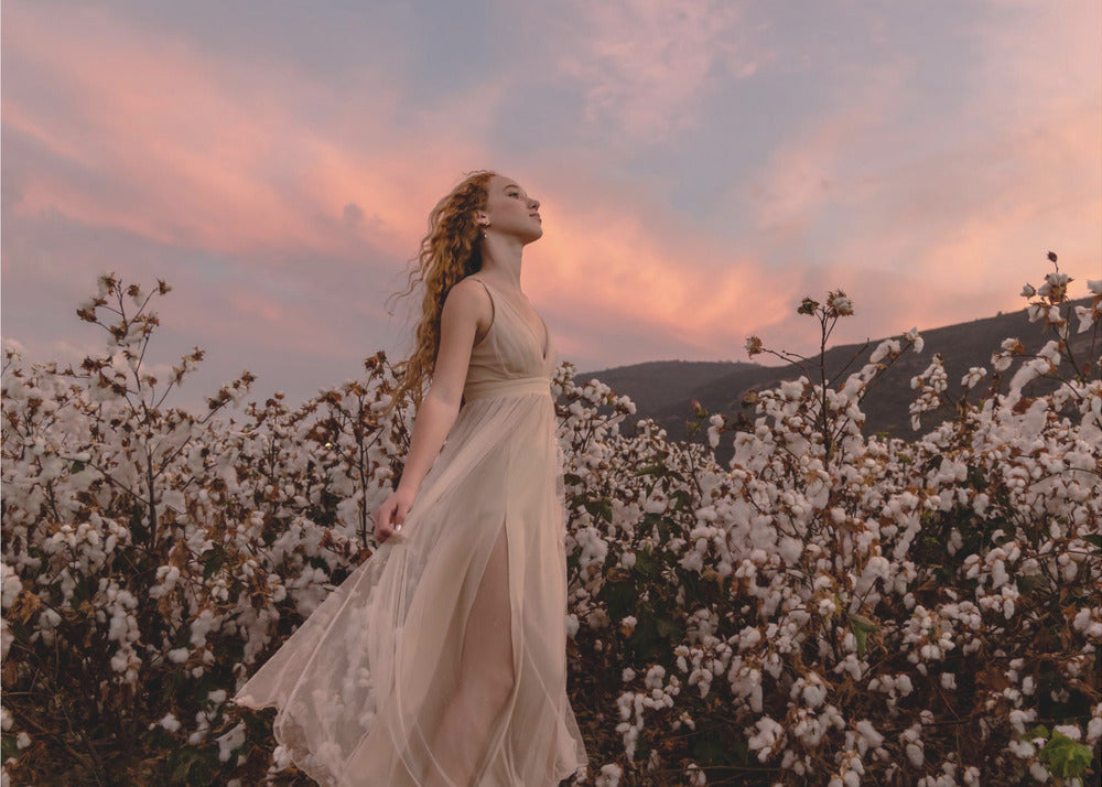 Sonnenuntergang im Baumwollfeld | Leinwand
