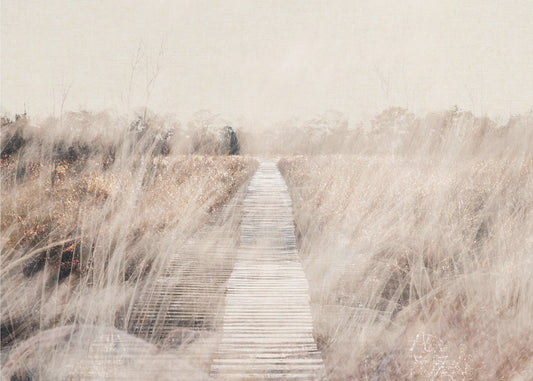 Dreamy landscape | Poster