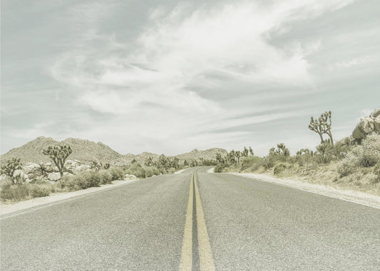 Vintage Joshua Trees, Park Boulevard | Leinwand