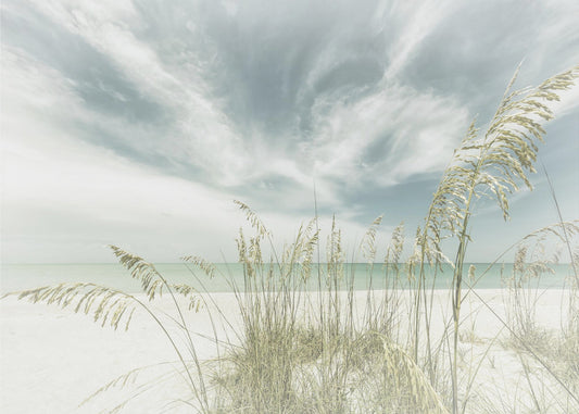 Heavenly calmness on the beach | Poster