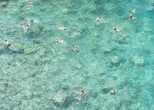 Schwimmen im Meer | Poster