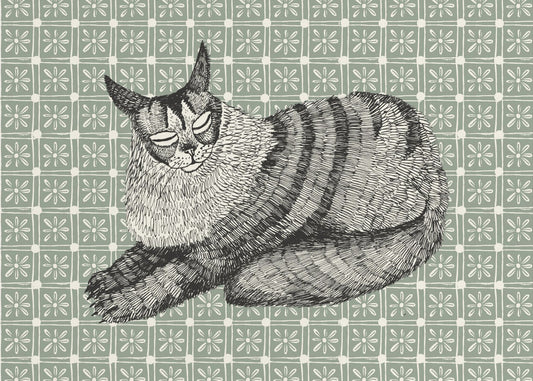 Maine Coon | Poster