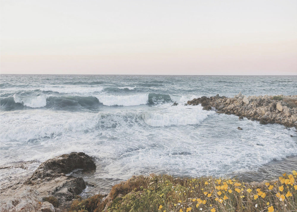 Seascape and poppies | Canvas
