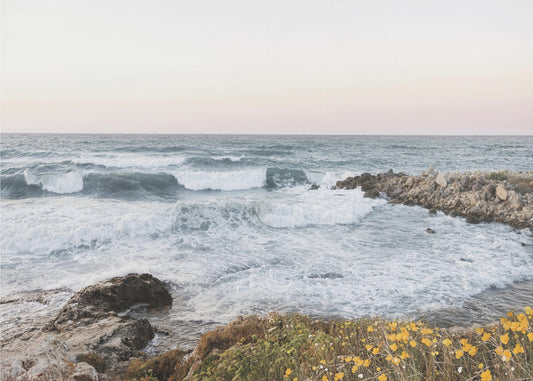 Seascape and poppies | Canvas