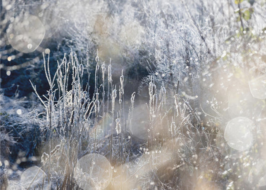 A Winter Morning 3 | Poster