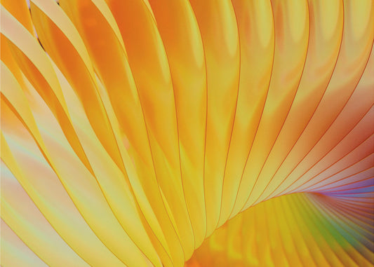 Golden Spirals | Wallpaper