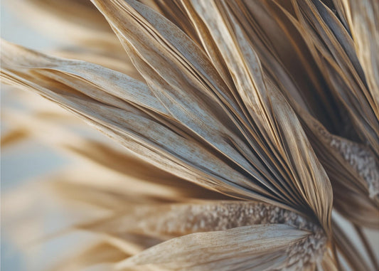 Golden Leaf Whispers | Canvas