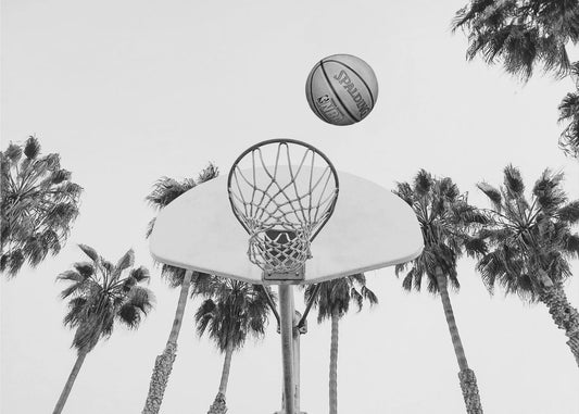 Basketball | Canvas