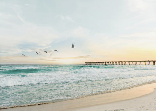 Birds At Pier | Canvas