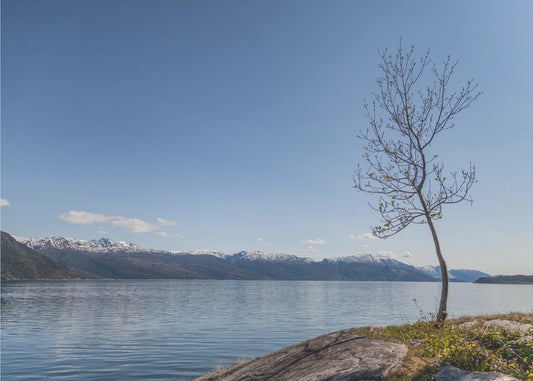 Irgendwo in Norwegen 3 | Leinwand