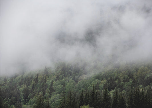 Irgendwo in Norwegen 5 | Leinwand