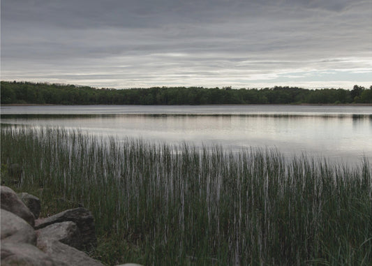Irgendwo in Schweden 1 | Leinwand