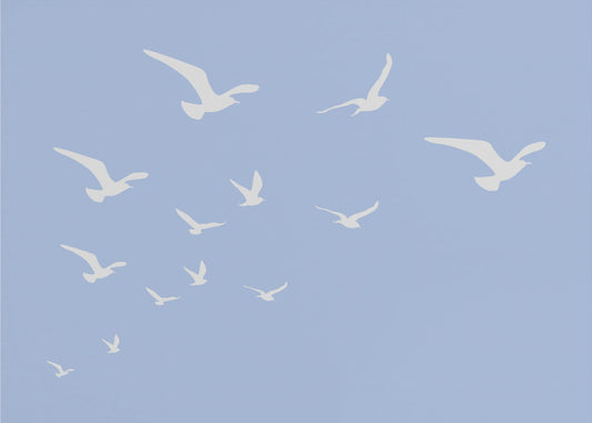 Seagulls Blue Background | Poster