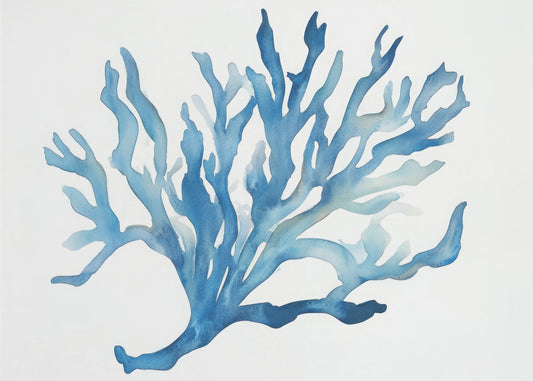 Blue Coral | Canvas