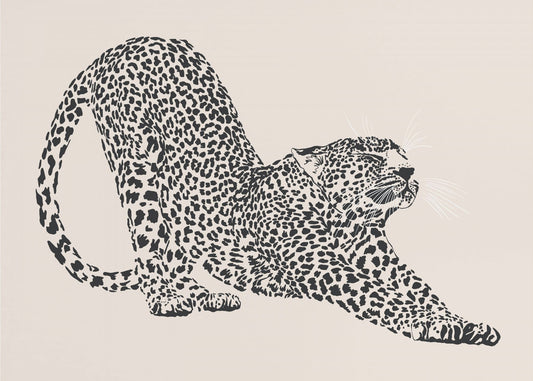 Gepard | Leinwand
