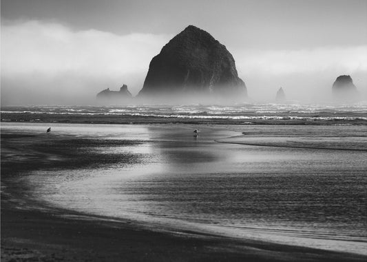 Cannon Beach | Canvas