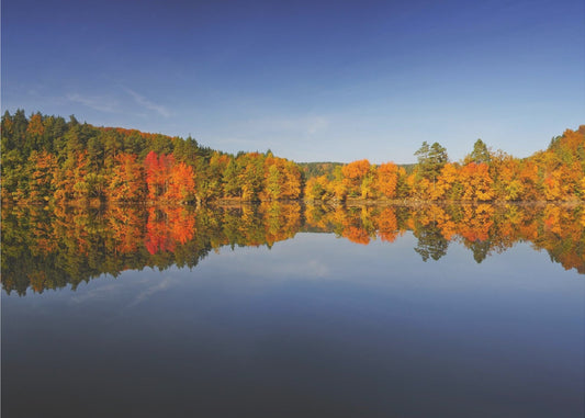 Autumn | Canvas