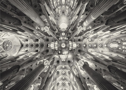 Artificial forest - Sagrada Familia | Poster