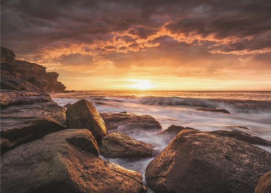 Cape Solander | Poster