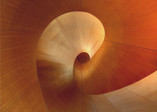 The Curve | Canvas