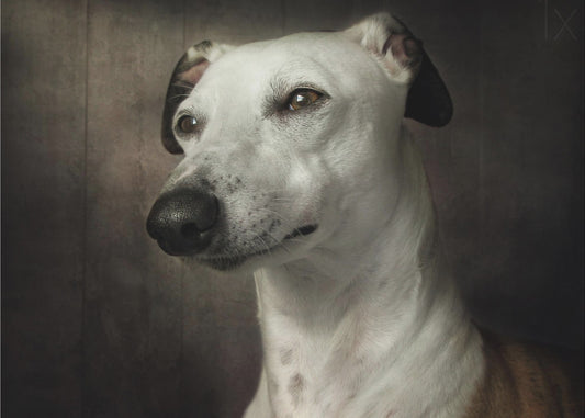 Waiting | Canvas