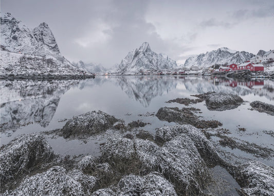 Reine | Leinwand