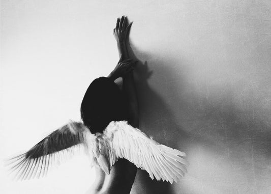 nicht fliegen | Leinwand