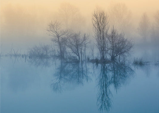 Morning reflection | Canvas