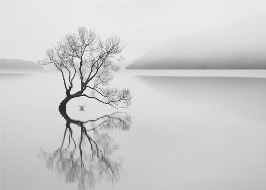 Serenity | Canvas